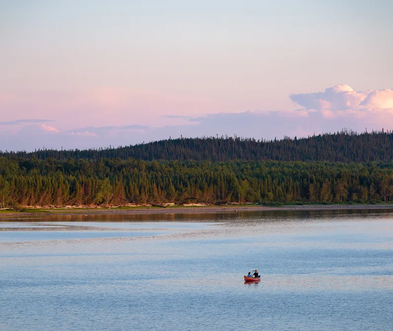 Vue panoramique sur un lac forestier