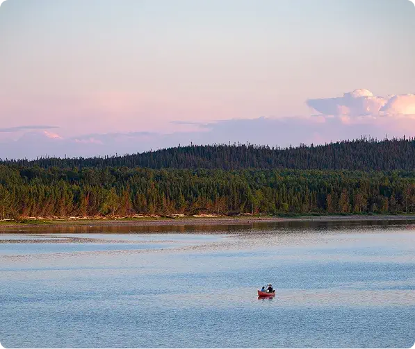 Vue panoramique sur lac forestier
